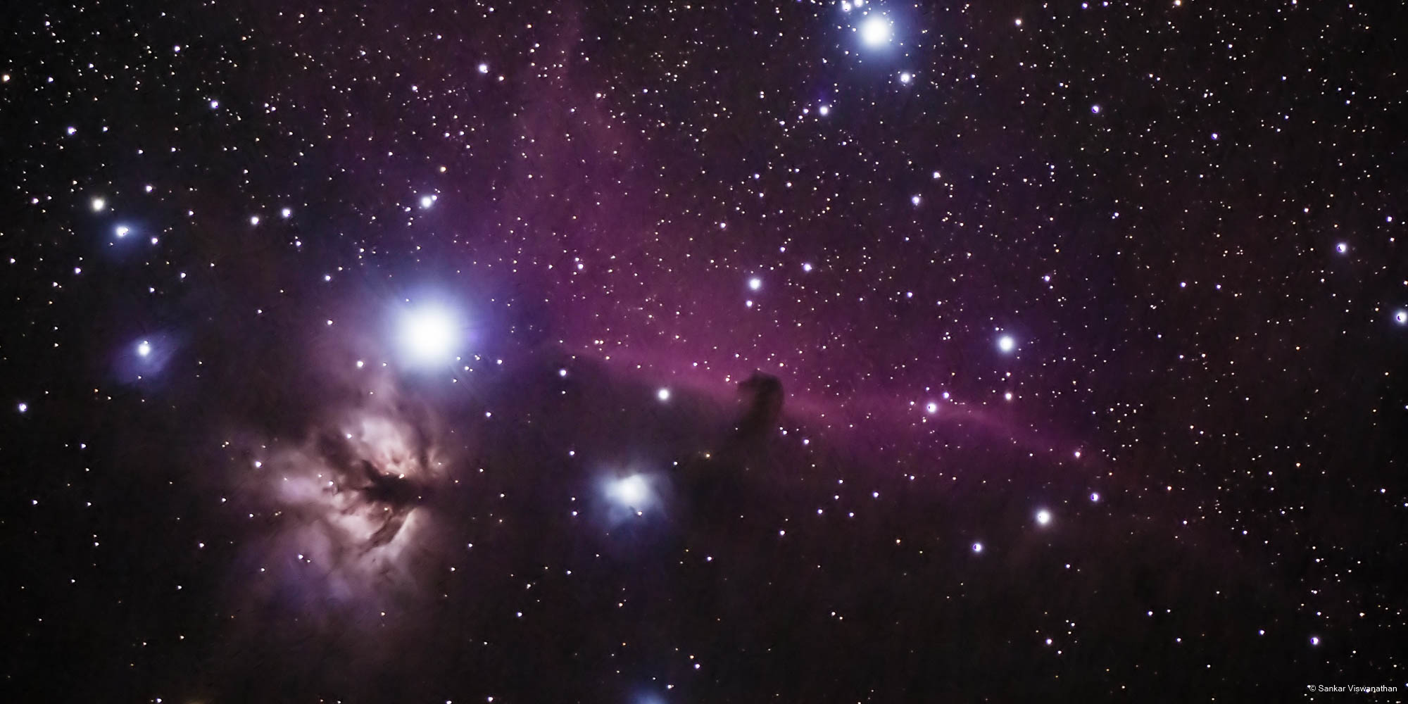 Horsehead and Flame Nebulae